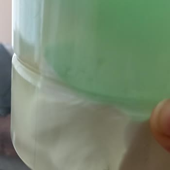 Mis Böceklenmiş Mis Peynir Mis Gibi Peynir