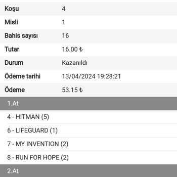 Türkiye Jokey Kulübü (TJK) At Yarışı İkili Bahis Ödemesindeki Düşük Tutar