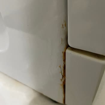 Arçelik Çamaşır Makinesi Paslanması