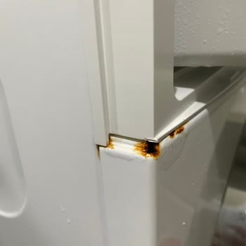 Arçelik Çamaşır Makinesi Paslanması