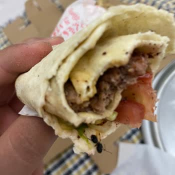 Güney Kebap Salonu Böcekli Soğuk Dürüm