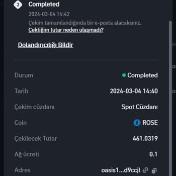 Coinlist Kayıp Para