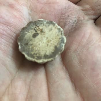 Ülker Mağduriyet Sıkıntılı Ürün