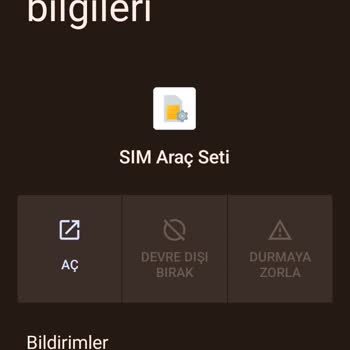 Reeder S19 Max Aynı Uygulamadan Birkaç Tane Oldu