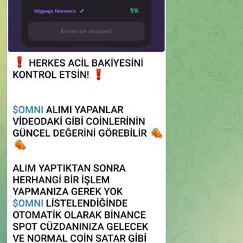 PancakeSwap Yatırım Vaadiyle Kaybolan 1000 USD!