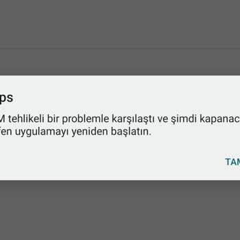 Online Soccer Manager (osm) Tehlikeli Problemle Karşılaştı Hatası!