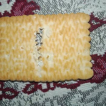 Gesaş Gıda Dikkate Alınsın Lütfen