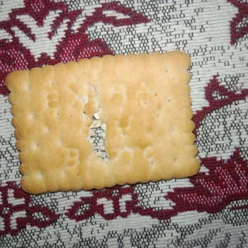 Gesaş Gıda Dikkate Alınsın Lütfen