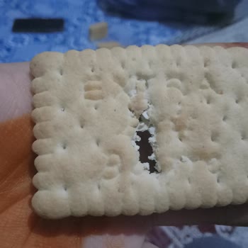 Gesaş Gıda Kurtlanması Ve Şeklinin Değişik Olması