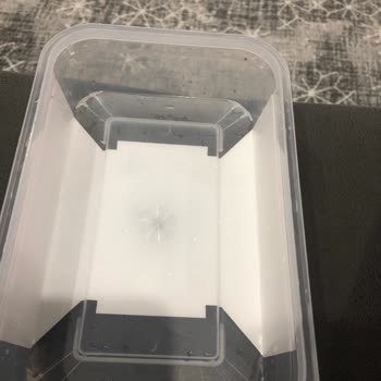 Algida Kutu Dondurmada Şifre Yok