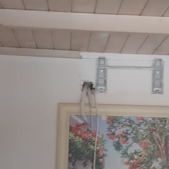 Otel Ve Jolly Tur Mağduru