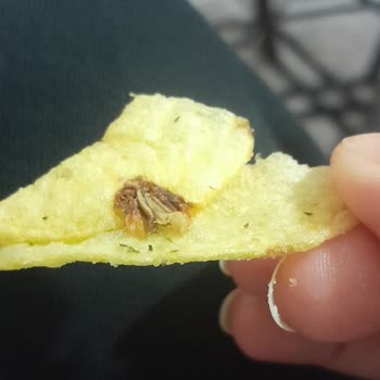 A101 Cips Sinek Çıktı