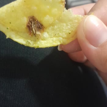 A101 Cips Sinek Çıktı