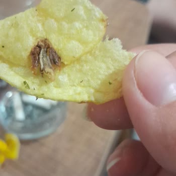 A101 Cips Sinek Çıktı