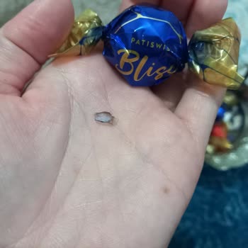 Patiswiss Bliss Çikolatadan Çıkan Cisim