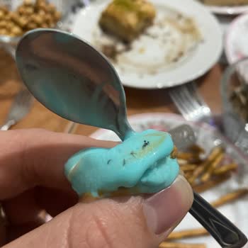 Çorum Elit Dondurmada Sinek Çıktı!