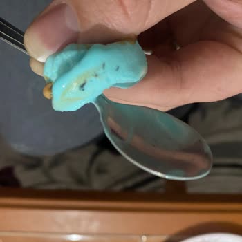 Çorum Elit Dondurmada Sinek Çıktı!