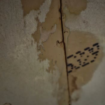 Belenco Mutfak Tezgahı Mağduru