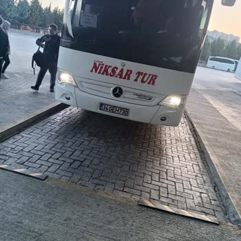 Lüks Niksar Tur Saçma Firma Binme