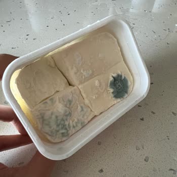 Bahçıvan Probiyotik Süzme Peynir