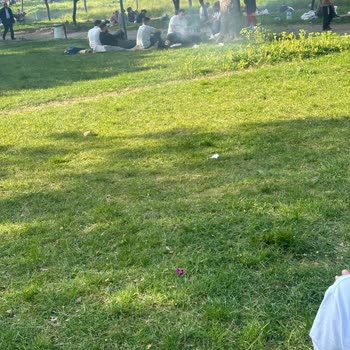 Bursa Büyükşehir Belediyesi Parklarımız Da Mangal