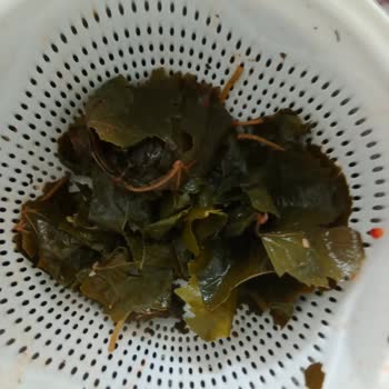 Migros Kalitesiz Ürün Hayal Kırıklığı Yarattı