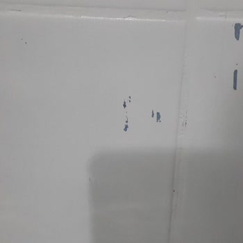 Bianca Boya Pişmanlıktır Zararımız 3 Katına Çıktı