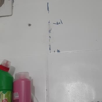 Bianca Boya Pişmanlıktır Zararımız 3 Katına Çıktı