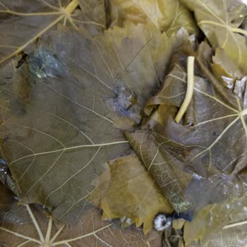 Hakmar Gıda Kazova Marka Tokat Yaprağı Şikayeti