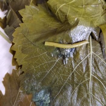 Hakmar Gıda Kazova Marka Tokat Yaprağı Şikayeti