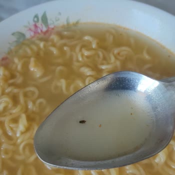 İndomie Noodle'dan Böcek Çıktı
