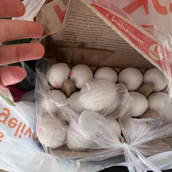 Migros Sanal Market SKT Geçmiş Ve Kokmuş Ürün Gönderiyor