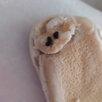 UNO Ekmek Bu Kadar Umursamazlık Pes Dedirtti