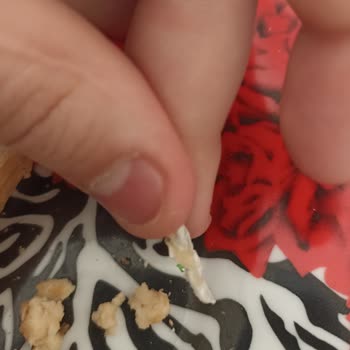 Migros Tost Ekmeğinin İçinden Sakız Ambalajı Çıktı!