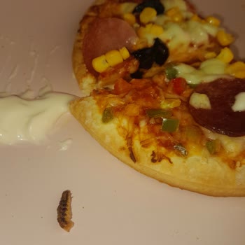 Şok Marketler Pizza Ürününde Böcek Bulma Deneyimi Ve Açıklama Talebi