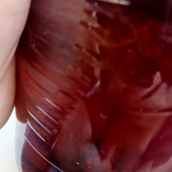 Çaykur Didi İçinde Bir Şeyler Var