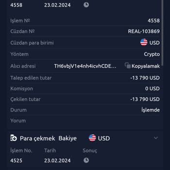 Wallet Skype Support Yatırım Adı Altında Yaşanan Mağduriyet