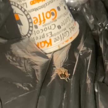 Jolly Tur Aracı Olduğu Oteldeki Sorunlarla Kesinlikle İlgilenmiyor