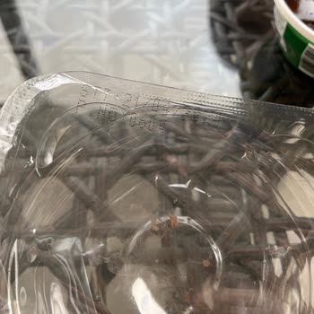 A101 Hanımdan Marka Profiterol