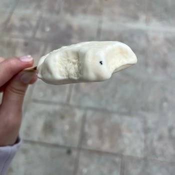 Magnum Dondurmadan Dinek Çıkması
