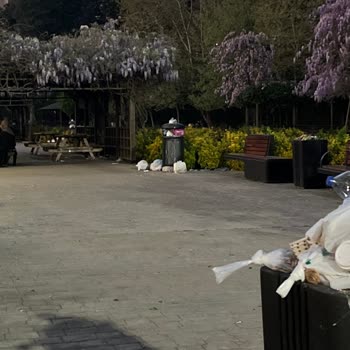 Beylikdüzü Belediyesi Osmanlı Parkı Çöp