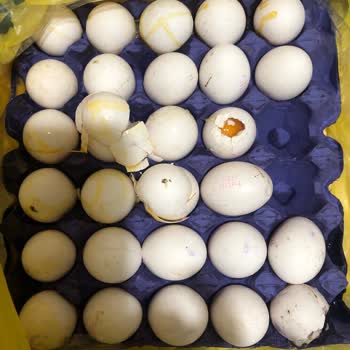 Şok Market Kırık Ürün Teslim Etti Ve Değişikliğini Yapmadılar