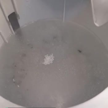Altus Marka Çaycı Su Üzerinde Plastik Sorunu