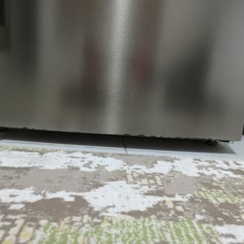 Arçelik Buzdolabın Boya Atması