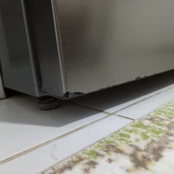 Arçelik Buzdolabın Boya Atması