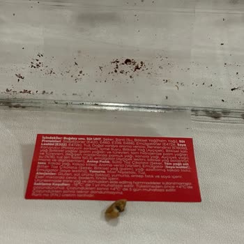 BİM Soğuk Baklava Şikayeti