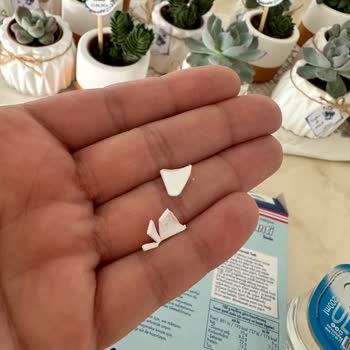 Dr. Oetker Çocukların Sağlığı Tehlikede: Krem Şanti Skandalı