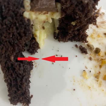 Praline Patisserie & Bakery Nişan Pastamızdan Kıl Çıktı!