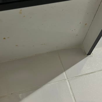 Benimtemizlikcim.com 2457 TL'ye Detaylı Temizlik Satın Aldım Sonuç Hüsran!