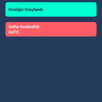 BTC Türk Kimlik Onayı Hata